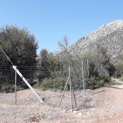 Land in Aliki, Boeotia