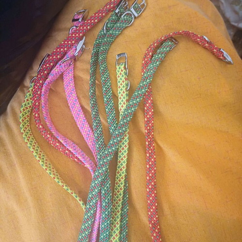 Small size dog collar new