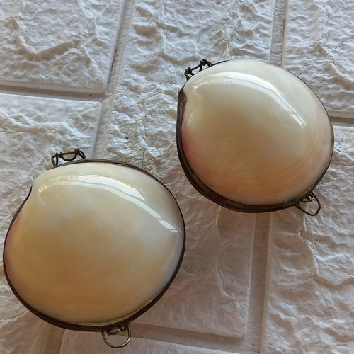 Natural Shell Set with Brass Frame, New, Pack of Two