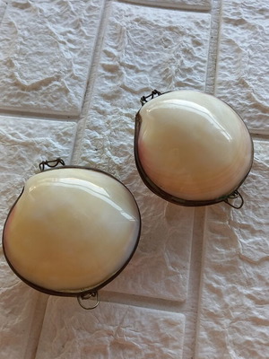 Natural Shell Set with Brass Frame, New, Pack of Two