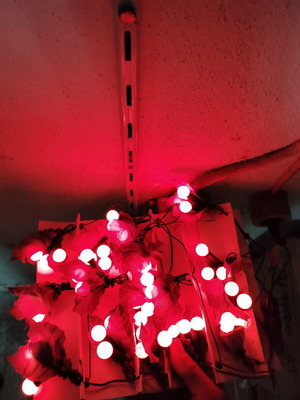 Christmas lights cherry style like new