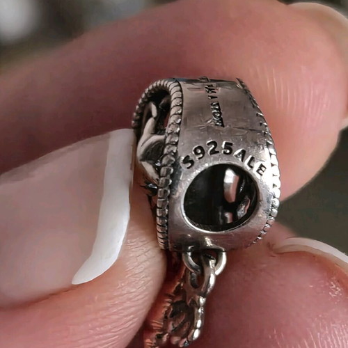 Pandora Open Dream Catcher and Shells Charm silver new