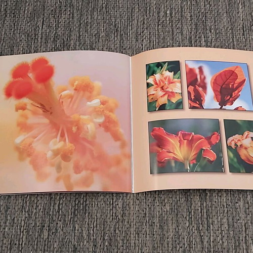 Photo albums like new, pack of 5 with flower, landscape, animal collections