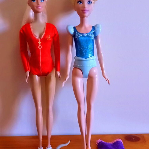 Barbie doll set with articulated cat, floating dog and dress, like new