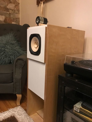 Fostex fe166en speakers used with company specification cabinets