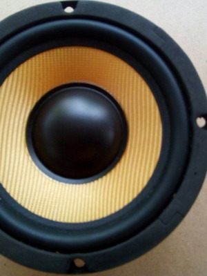 Fenton 5.25 Inch Woofer New Kevlar Cone