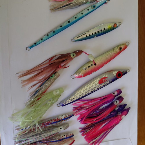 Shore jigging jigs used, Pregio Slash 60gr, Hayabusa Jack Eye Shot 60gr, M&W 100gr Inchiku, Nameless 125gr, 10 silicon octopus
