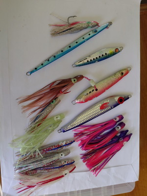 Shore jigging jigs used, Pregio Slash 60gr, Hayabusa Jack Eye Shot 60gr, M&W 100gr Inchiku, Nameless 125gr, 10 silicon octopus