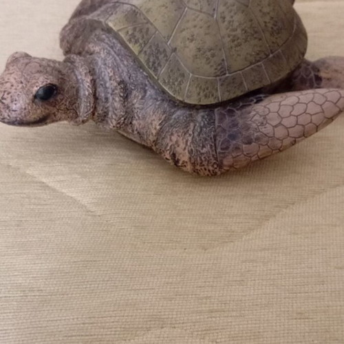 Turtle decorative item used, broken leg