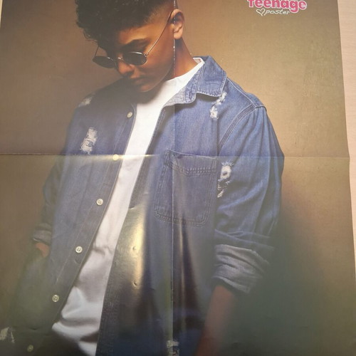 Teenage Girl Shawn Mendes Gigantic Poster new