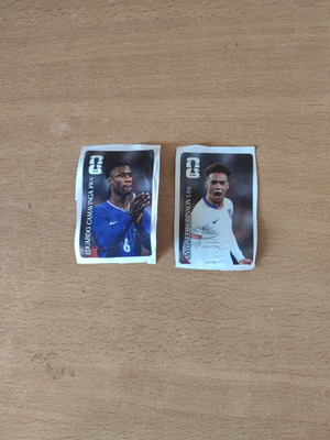 Panini Coca-Cola FIFA World Cup 2026 stickers Camavinga & Robinson
