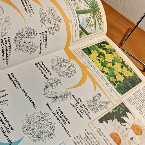 Plants used color thematic encyclopedia “Our World”