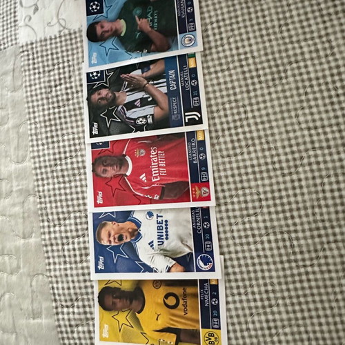 Panini Champions League 25-26 silver cards new, collectible