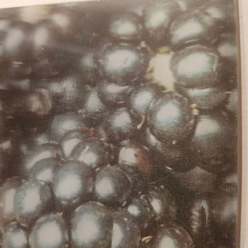 Greeting card 3D blackberries new