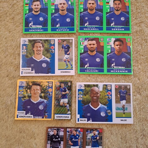 Panini Fifa Schalke Team Collectible Stickers and Cards like new, pack of 9