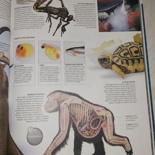 Animal Encyclopedia by Ellinika Grammata and Ta Nea