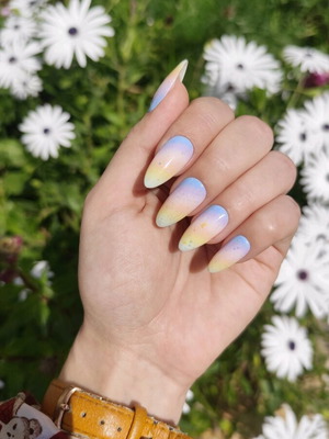 Press-on nails handmade like new, reusable with kit