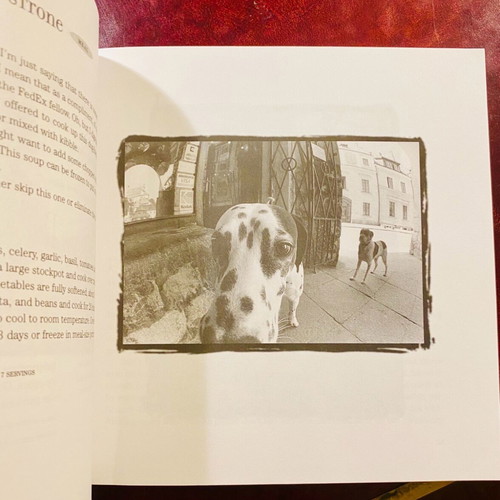 Throw me a bone dog cookbook used