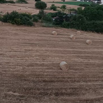 Agricultural land in Hortiatis Thessaloniki 6000 m²