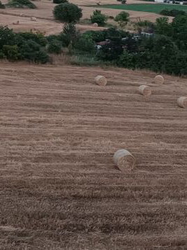 Agricultural land in Hortiatis Thessaloniki 6000 m²