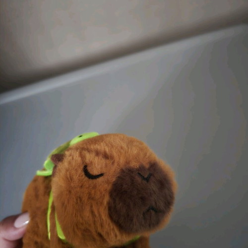 Capybara mechanical new