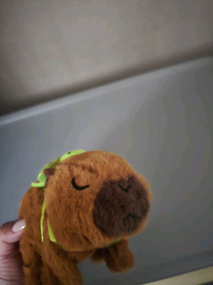 Capybara mechanical new
