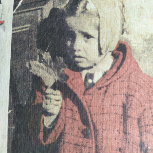 The Girl with the Red Coat novel