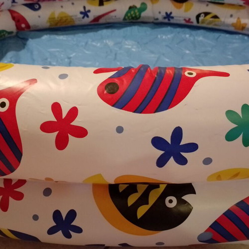 Inflatable children's pool with fish design used