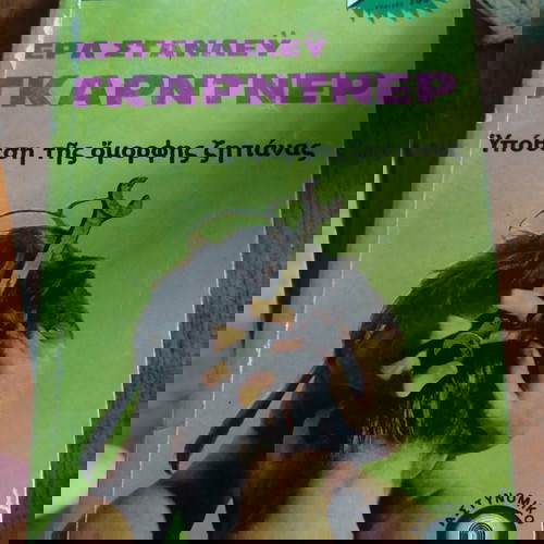 Υπόθεση της όμορφης ζητιάνας μεταχειρισμένο αστυνομικό μυθιστόρημα