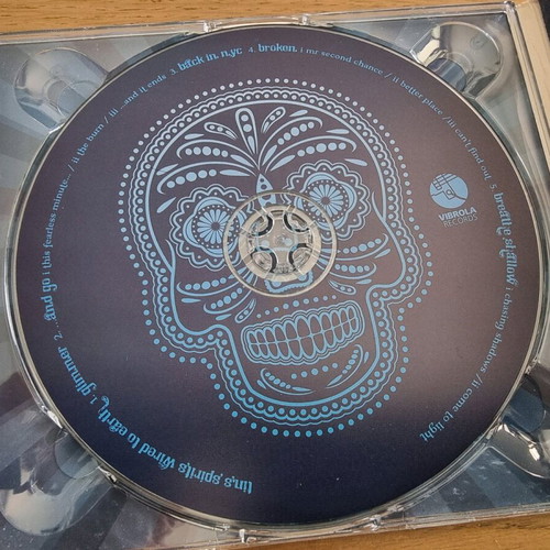 Tin Spirits Wired To Earth CD digipack like new, rock