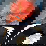 Manowar - Fighting The World