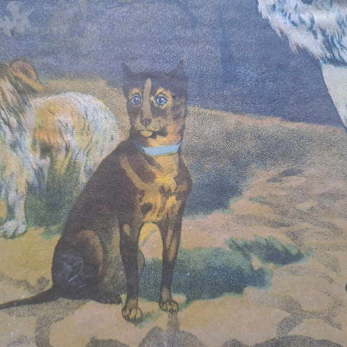 Vintage school poster dog hardcover used 40x35