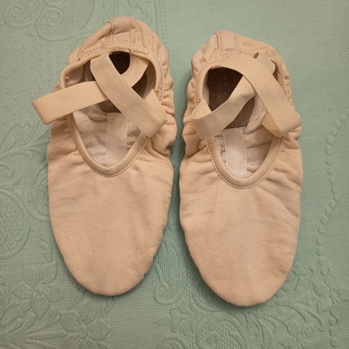 Merlet Soft Ballet Shoes Size 40 Like New