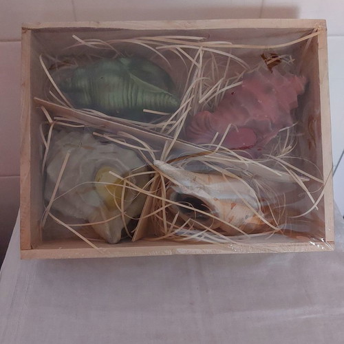 Wooden box with 4 terracotta sea shell candles, new