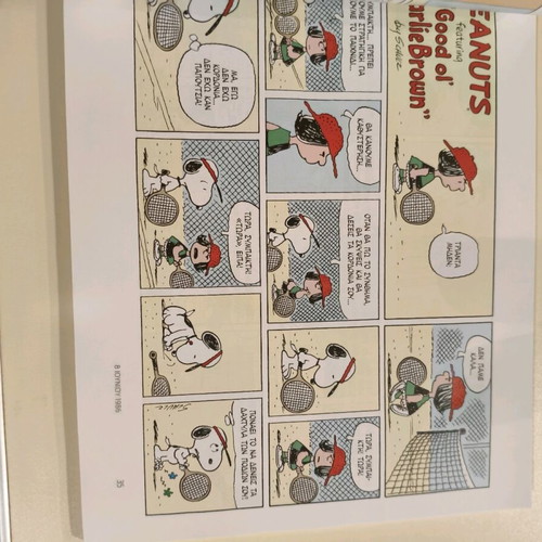 Peanuts Comics New in Excellent Condition