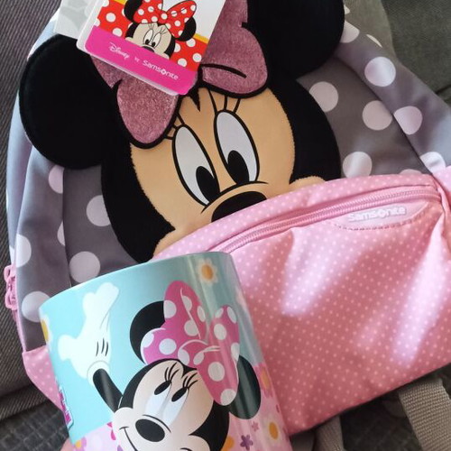 Samsonite Disney Ultimate 2.0 Minnie Mouse backpack and metal pencil case set