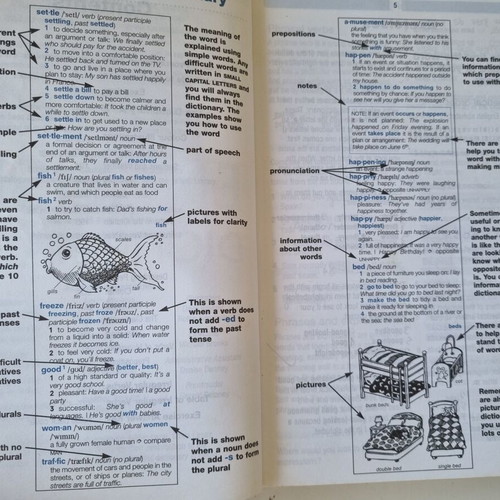 Longman Basic English Dictionary