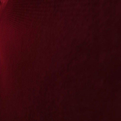 Gant Polo Shirt 2XL Long Sleeve Used Bordeaux Cotton