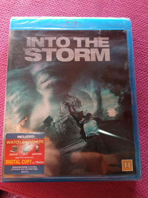 INTO THE STORM Blu-ray Disc