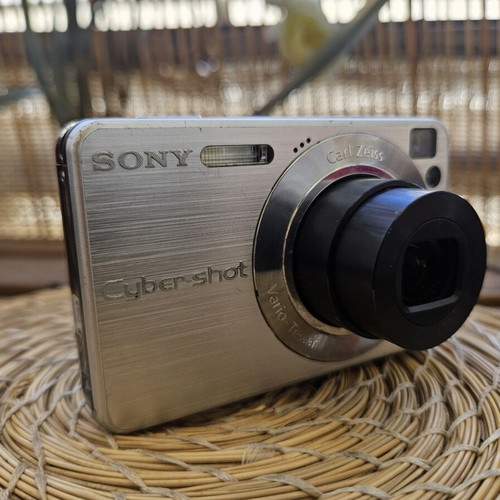 Sony Cyber-shot DSC-W110 7.2 MP Compact Digital Camera