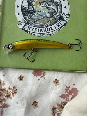 Yo-Zuri Crystal Minnow fishing lure 18g 16cm