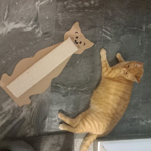 Scratching post new