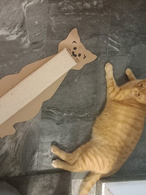 Scratching post new