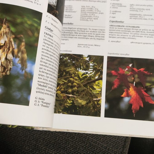 Garden encyclopedia, detailed guide to popular garden plants