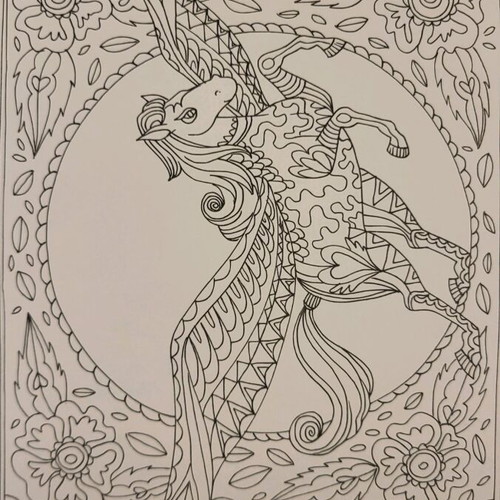 Coloring Book Fantasia like new