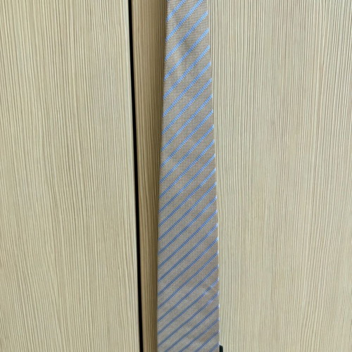 The Bostonians Tie new with tag, beige and gray