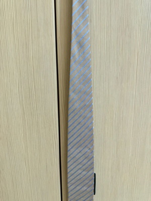 The Bostonians Tie new with tag, beige and gray
