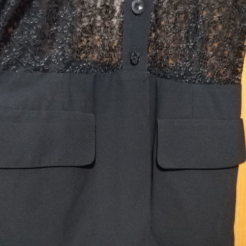 Official Vest with Transparency