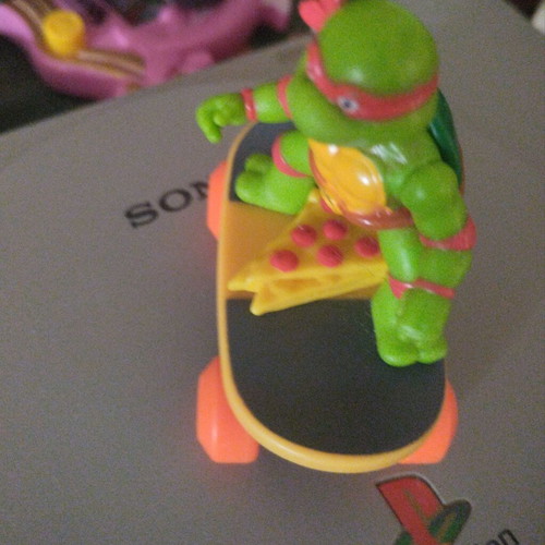 Turtlepower skate used