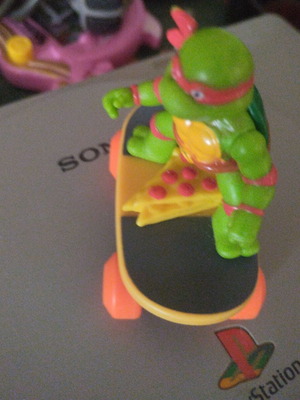 Turtlepower skate used